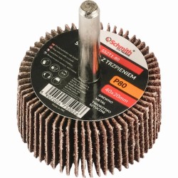 ŚCIERNICA TRZPIENIOWA,...