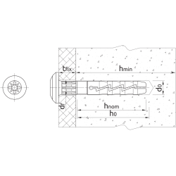 Kołek wbijany z kołnierzem Koelner 6x60 mm [100 szt.]